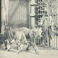 Philadelphia Zoo Photograph Album
