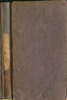 The wanderer: a rambling poem