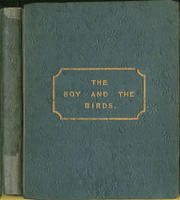 The boy and the birds