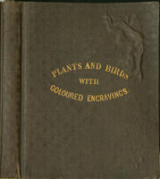 Plants and birds : illustrated with coloured engravings