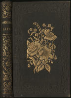 Lights and shadows of domestic life