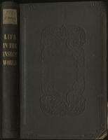 Life in the insect world: or, Conversations upon insects, : between aunt and her nieces