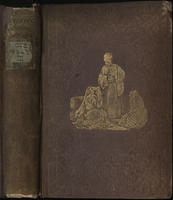 Turkish evening entertainments