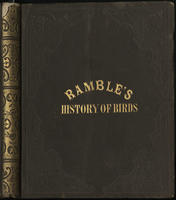 The birds of the air