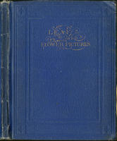 Leaf and flower pictures, and how to make them