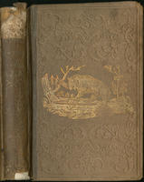 Trappers of New York : or, A biography of Nicholas Stoner & Nathaniel Foster