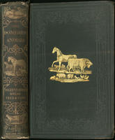 The domestic animals