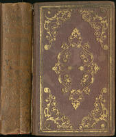 Three years'  wanderings of a Connecticut Yankee