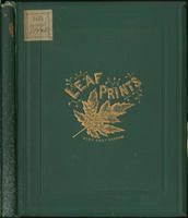 Leaf prints, or, Glimpses at photgraphy