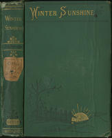 Winter sunshine