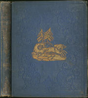 The winter evening story book