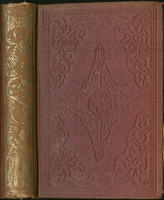 Household narratives for the family household