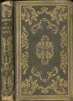 Blossom of rocky nook :   or, life and writings of Mary Delano Whitten.