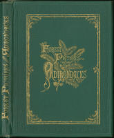 Forest Pictures in the Adirondacks