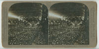 Republican National Convention, June 21, 1900. Philadelphia.