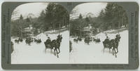 The Wissahickon Drive crowded with one-horse sleighs, Philadelphia, Penna.