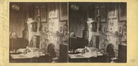 [Ferdinand J. Dreer residence, library, 1520 Spruce Street, Philadelphia]