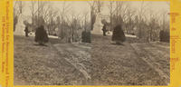 View at north Laurel Hill Cemetery.