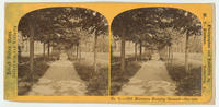 Old Moravian burying ground - summer.