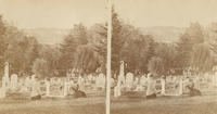 View from south Laurel Hill Cemetery, looking west.