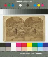 [Martha Maxwell and her exhibit of 