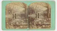 [Old Log Cabin Bridge over Wissahickon Creek, Philadelphia, Pa.]