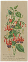 Compliments of E.M. Bruce & Co., general managers for the Estey Organ, 18 North 7th St., Phila.