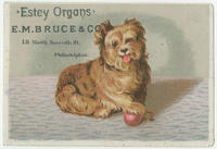 Estey organs. E.M. Bruce & Co., 18 North Seventh St., Philadelphia.