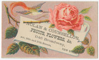 Nolan & Counsellor, fruits, flowers, &c. 1146 Broadway, bet. 26th and 27th Streets, New York.