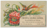 W.W. Reed, china & glass ware, lamps & oils, No. 450 Sixth Avenue, bet. 27th & 28th Sts., New York.