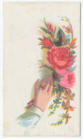 [E.H. Worne's lace and embroidery store trade cards]