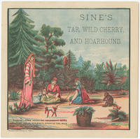 Sine's tar, wild cherry, and hoarhound. Turkish ladies' noontime amusement, while gathering herbs for Sine's syrup of tar, wild cherry and hoarhound.