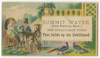 Summit Water, from Harrison, Maine, the invaluable tonic that builds up the debilitated.
