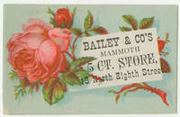 Bailey & Co.'s mammoth 5 ct. store, 13 North Eighth Street.