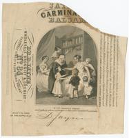 Jay[ne's] Carmina[tive] Balsam. Prepared only by Dr. Jayne, wholesale druggist & chemist, no. 84 Chestnut Street below Third, Philada.