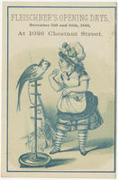 [P. Fleischner & Co. trade cards]