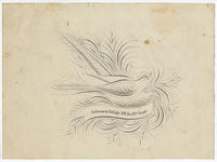 [Miscellaneous specimens from specimen album loose prints collection]