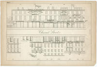 [Plate 7 and advertisements from Rae's Philadelphia pictorial directory & panoramic advertiser. Chestnut Street, from Fourth to Fifth Streets]