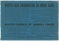 [Plate 9 and advertisements from Rae's Philadelphia pictorial directory & panoramic advertiser. Chestnut Street, from Second to Tenth Streets]