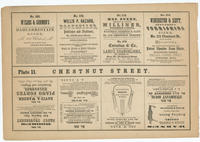[Plate 11 and advertisements from Rae's Philadelphia pictorial directory & panoramic advertiser. Chestnut Street, from Second to Tenth Streets]