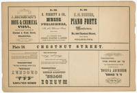 [Unnumbered plate and advertisements from Rae's Philadelphia pictorial directory & panoramic advertiser. Chestnut Street, from Second to Tenth Streets]