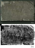 ASSU Illustration 2761