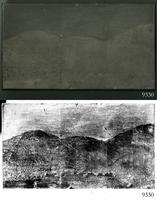 ASSU Illustration 9330