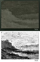 ASSU Illustration 7854