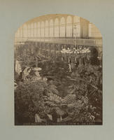 Horticultural Hall Interior, From N. Gallery