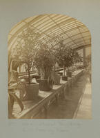 Horticulural Building - S.W. Forcing Room.
