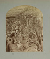 Horticultural Building - S.E. Forcing Room.