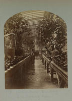 Horticultural Building - S.W. Forcing Room