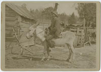 [Older African American man seated on donkey]