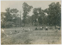 [Vegetable cultivation at demonstration center at Little Wakefield, Germantown]